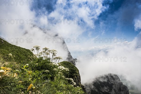 Steep mountains and clouds and flower meadow