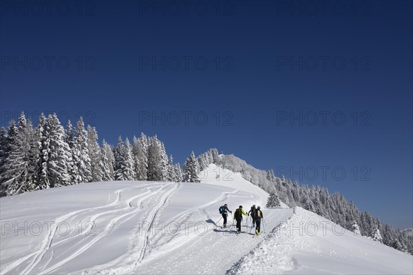 Deep snowy winter landscape with ski tourers on the way to the Zwoelferhorn