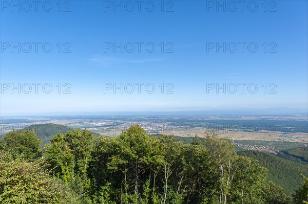 View from the Chateau du Haut Koenigsbourg over the landscape of the Upper Rhine Plain.... In the background the hilly landscape of the Black Forest