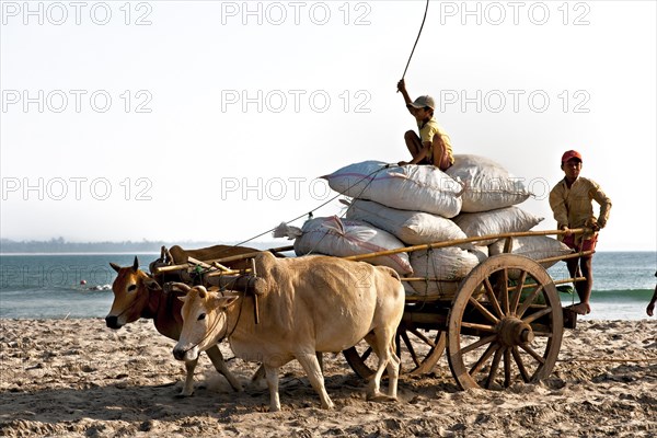Ox cart loaded with sacks and boys on the beach