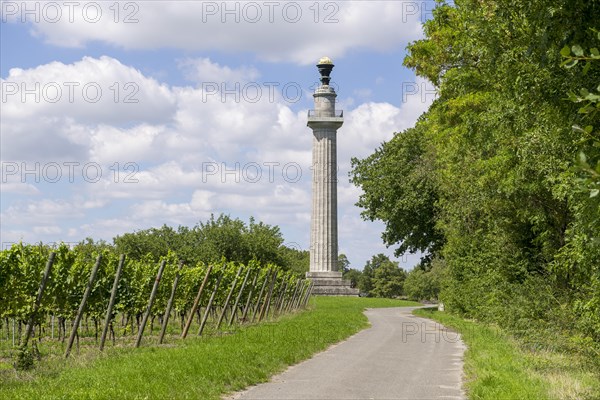 Constitution Column