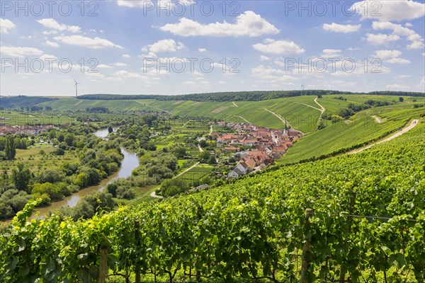 View from Vogelsburg Castle on the Main Loop towards Escherndorf