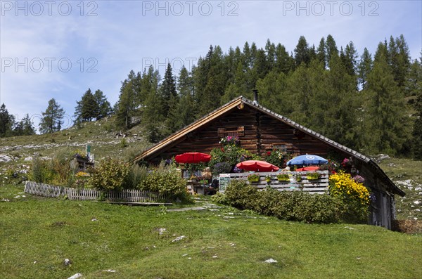 Pitscherbergalm on the Postalm