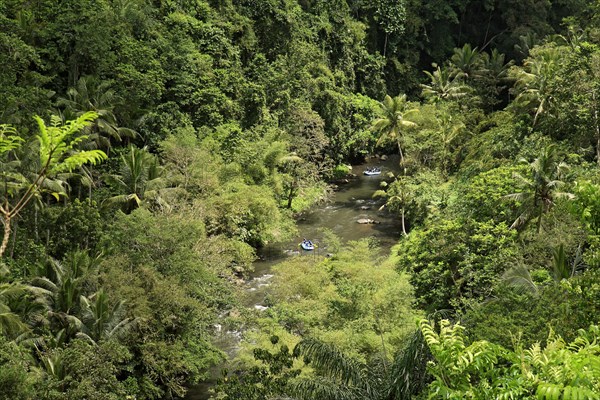 Tropical forest and white water rafting