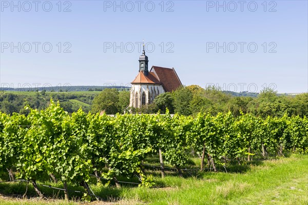 Pilgrimage church Maria im Weingarten