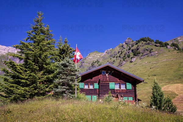 Alpine Chalet near Wengen