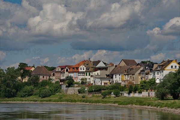 Houses on the Elbe in Coswig