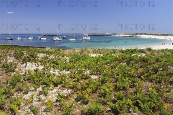 Sailing boats in the roadstead between Ile Saint-Nicolas and Ile Bananec