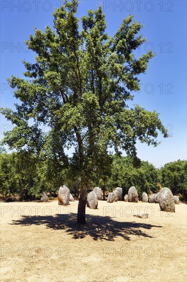 Almendres Cromlech