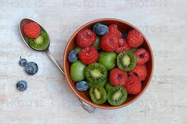 Fruits in shell