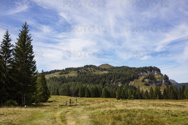 Hiking trail on the Postalm to the Pitscherberg