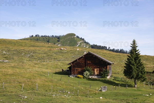 Alpine hut on the Postalm with a view of the Wieslerhorn