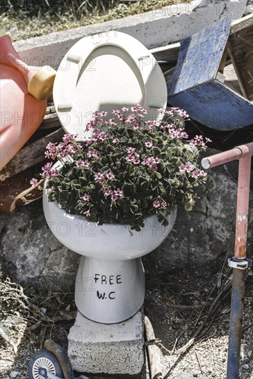 Toilet decorated with flowers