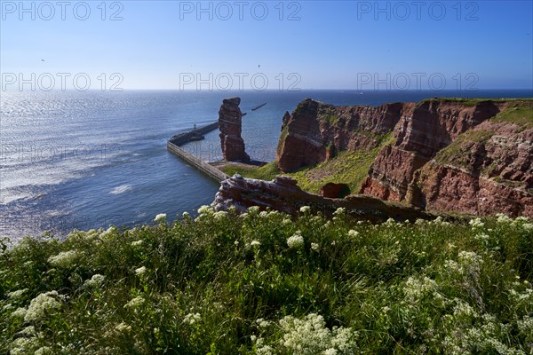 Lange Anna with cliffs on the high seas island of Helgoland