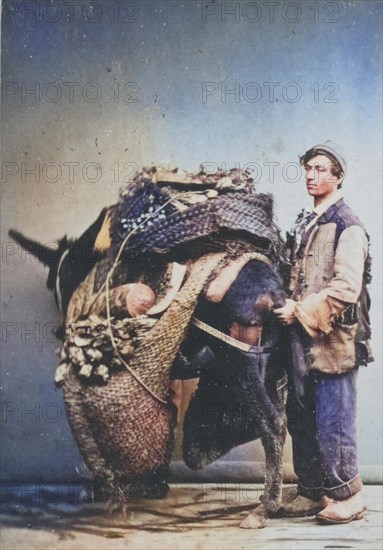 Farmer bringing his harvest to market on a fully loaded donkey