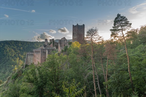 Ortisei Castle on a steep mountain. Ribeauville