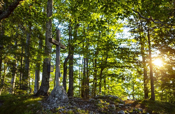 Summit cross in the deciduous forest on the Gurlspitze