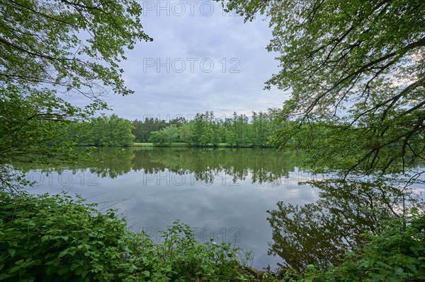 River landscape