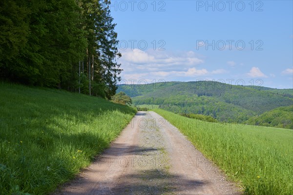 Country lane