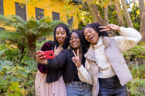 African american friends gesturing success while taking a selfie in a park