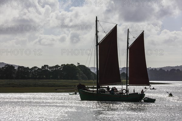 Parade of old sailboats in the Rade de Brest