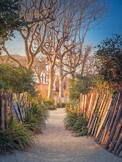 Narrow footpath in the park along wooden fence