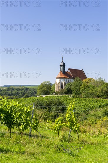 Pilgrimage church Maria im Weingarten