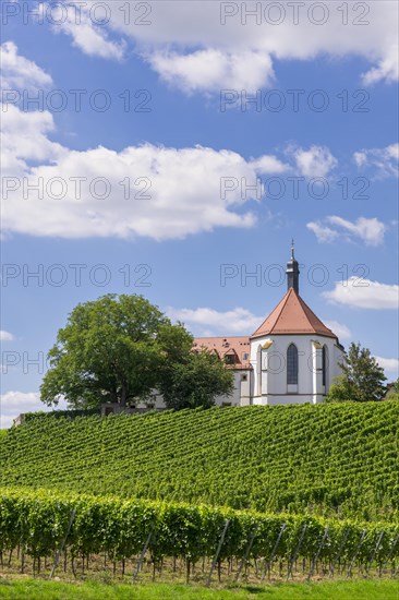 Monastery Church of the Protection of the Virgin Mary