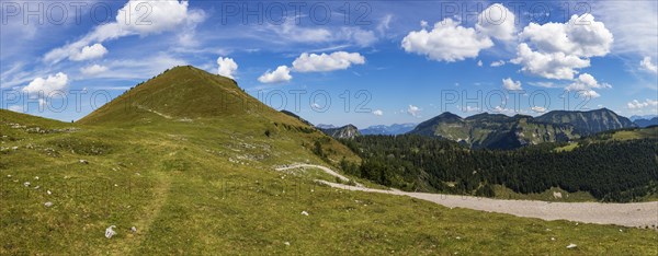 Alpine landscape on the Trattberalm with a view of the Hoher First