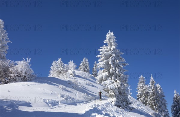 Deep snowy winter landscape on the Zwoelferhorn with ski tourers