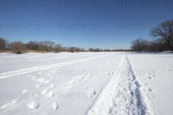 Vehicle tracks on snow covered frozen river