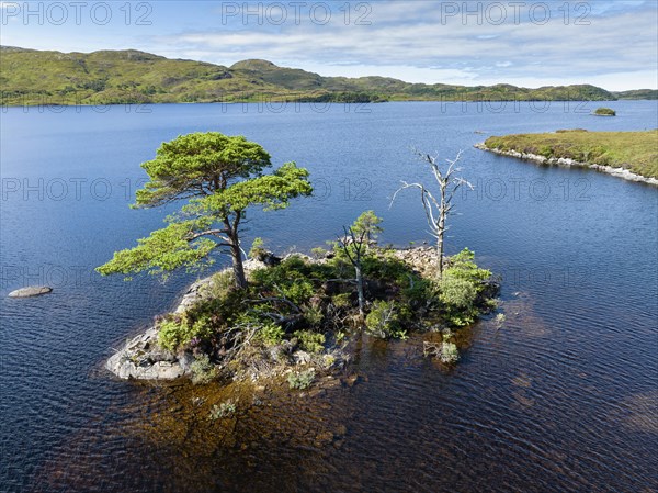 Aerial view of the freshwater loch Loch Assynt with a small island of trees