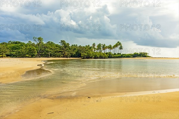 Sargi beach in the city of Serra Grande in Bahia surrounded by the sea and vegetation