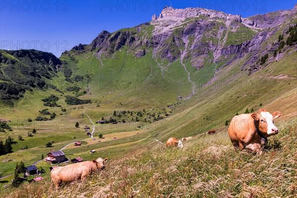 Alpine landscape near Wengen