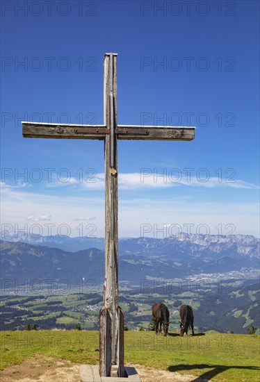 Herd of horses at the summit cross on the Trattberg with a view into the Salzach Valley