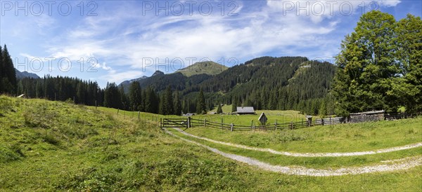 Alpine landscape on the Ausserlienbachalm with Labenberg