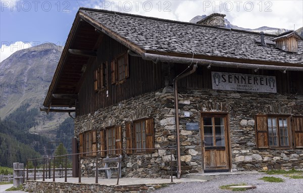 Alpine pasture