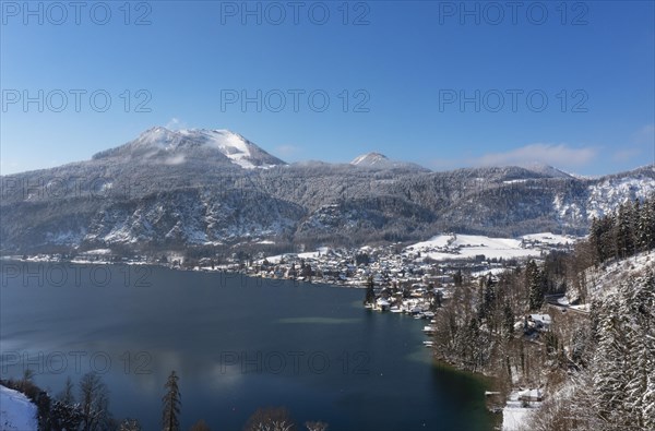 Winter landscape