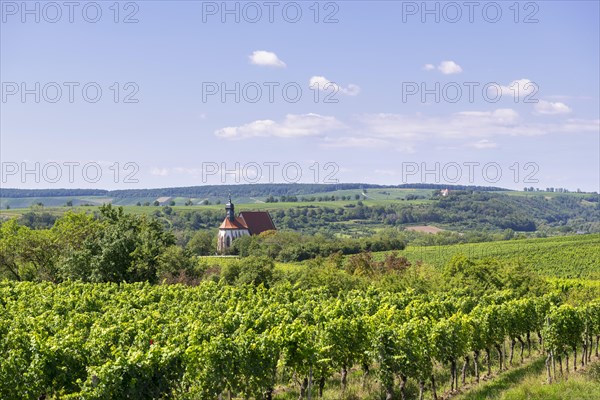 Pilgrimage church Maria im Weingarten