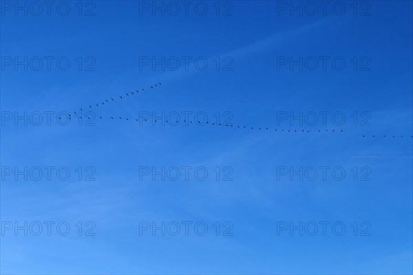 Blue sky with cirrostratus clouds