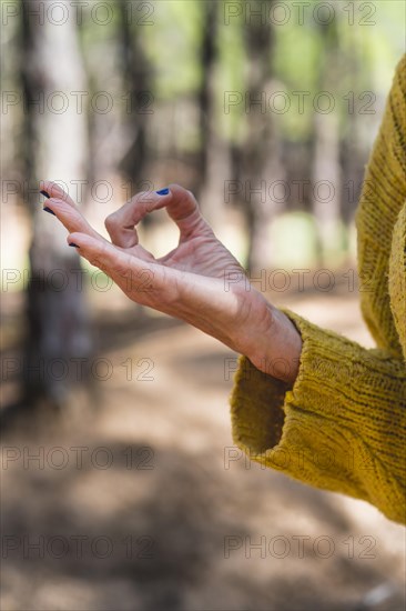 Chin mudra close up over nature background. Vertical shot