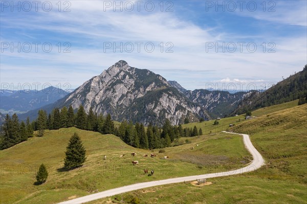 Alpine pasture area on the Postalm with Rinnkogel
