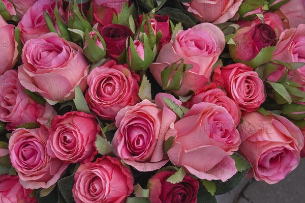 Artificial pink roses