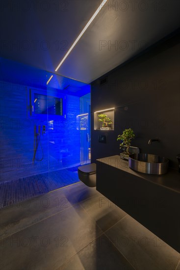 Luxury Design Bathroom in Modern Apartment in Switzerland