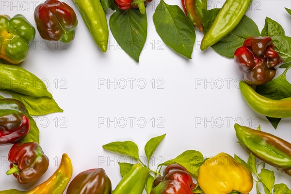 Frame of different types of sweet pepper