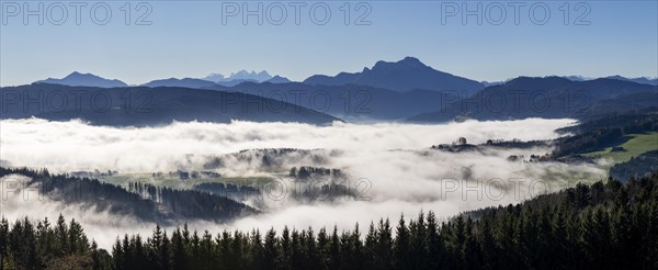 Morning sun in the valley