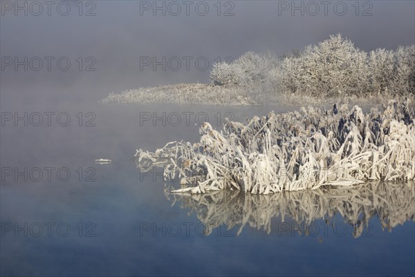 Winter landscape