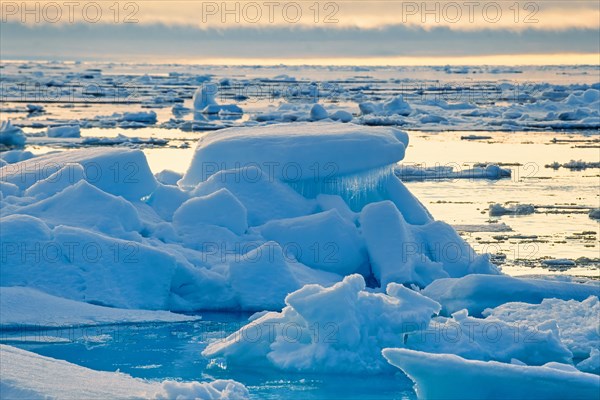Ice floes in the arctic sea in the golden hour light of the midnight sun