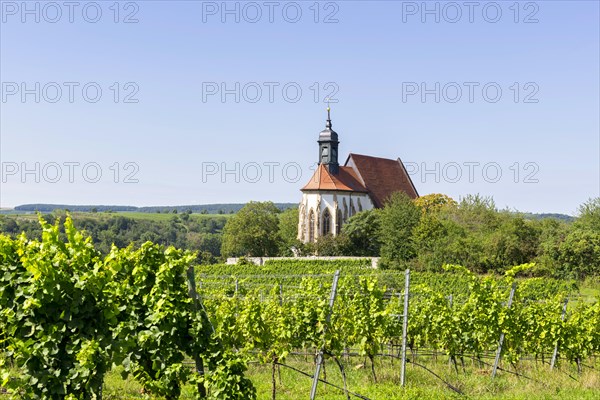 Pilgrimage church Maria im Weingarten