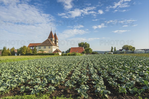 Church of St. Peter and Paul and Kohlfeld on Reichenau Island